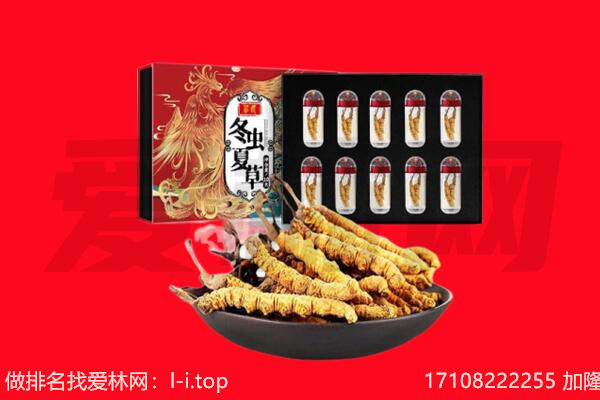 沈阳市回收虫草.jpg
